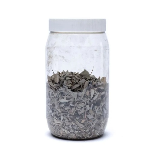 [8719497611591] Encens de Sauge Blanche (salvia Apiana) - bouquet | 100 g