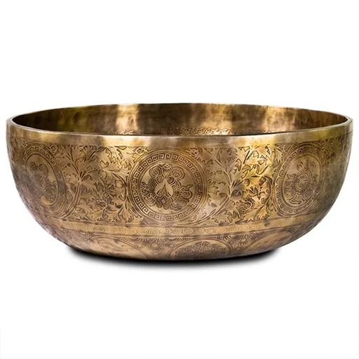 [8719497616206] Bol chantant avec décorations | 10.000-11.000 g; 50-53 cm