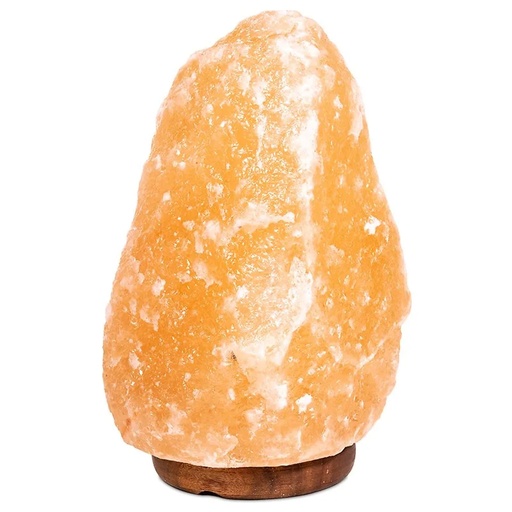 [8720088290491] Lampe en cristal de sel + câble à prise et LED | 3000-5500g