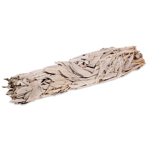 [8720088292228] Sauge blanche Smudge M/L -- 60-75 gr