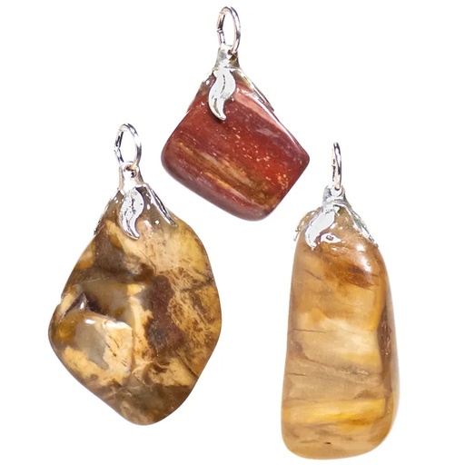 [8720088295021] Pendentif pierre gemme Bois pétrifié |±1.5-3cm