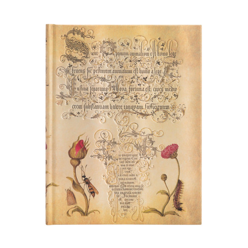 [9781439781739] Carnets à couverture rigide - Rose Flamande - Ultra - Non ligné