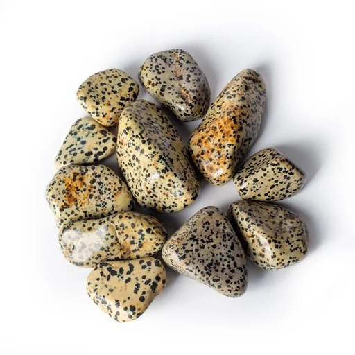 [8720088297674] Jaspe Dalmatien pierres polies de qualité A | ±3-8cm; ±500g