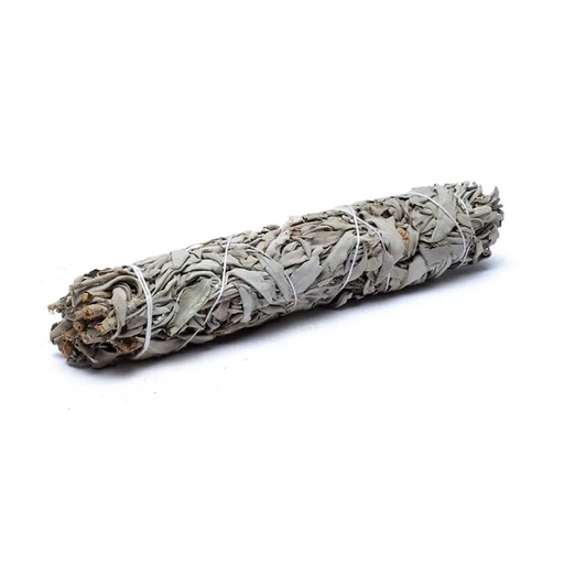 [8720088299937] Sauge blanche smudge XL 12 pièces | ±115 g;±23x5.5 cm