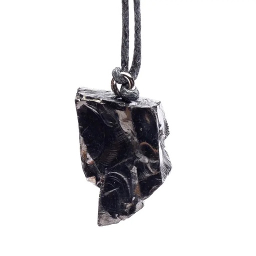 [8720512970463] Pendentif en Shungite Elite -- ± 7-10g