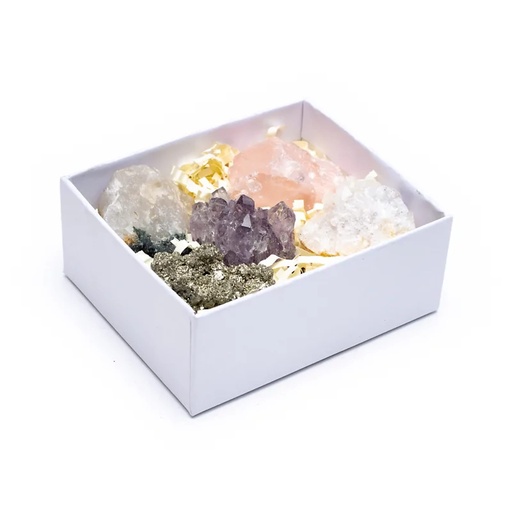 [8720512971019] Coffret avec 5 roches en cristal minéral | 8.5x10x4 cm