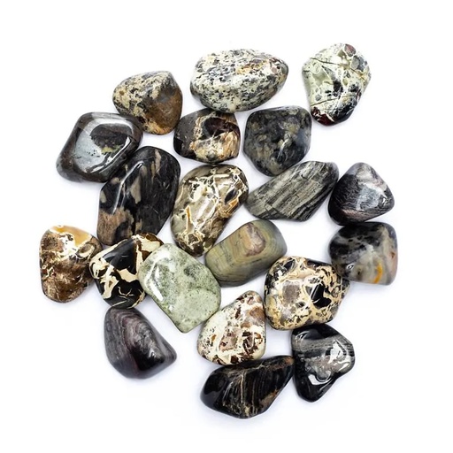 [8720512972955] Jaspe à feuilles d'argent pierres roulées A | ±500 g; ±3-4 cm