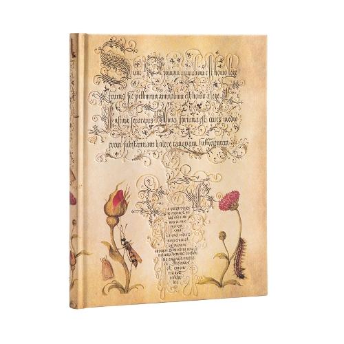 [9781439781241] Carnets à couverture rigide - Rose Flamande - Ultra - Ligné