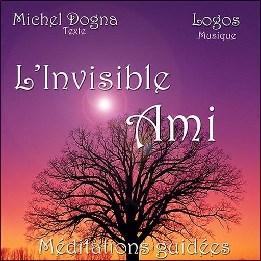 [3421912004578] L'Invisible Ami
