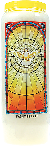 [3660341248669] Neuvaine vitrail : Saint Esprit