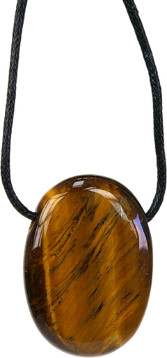 [3660341322451] Collier Oeil de Tigre Pierre ovale percée Cordon noir