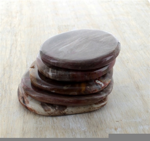 [3660341396438] Smooth Stone Bois Fossile/Silicifié