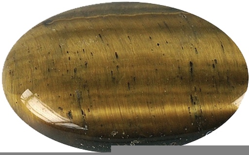 [3660341404171] Galet Oeil de Tigre - Pièce de 5 x 7 cm - GM