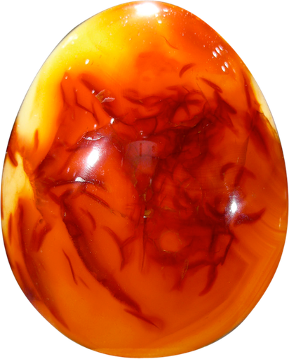 [3660341404669] Oeuf Cornaline Chauffée - Pièce de 30 x 45 mm