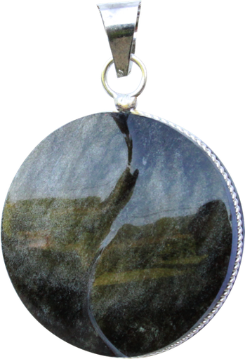 [3660341556474] Pendentif Obsidienne Dorée Forme ronde