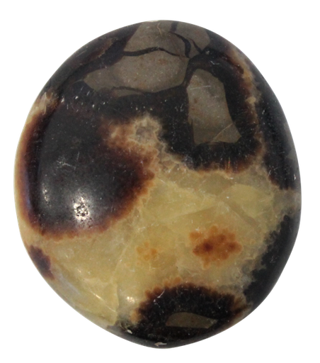 [3660341598580] Galet Septaria - Pièce de 4 à 6 cm