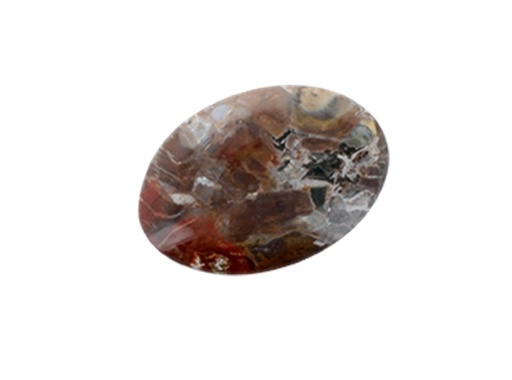 [3660341598696] Galet Bois Fossile/Silicifié - Pièce de 6 à 7 cm