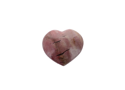 [3660341598771] Cœur Bois Fossile/Silicifié - 5 cm