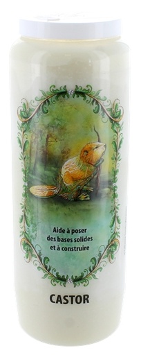 [3660341618073] Neuvaine animal totem - Castor