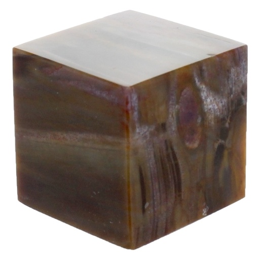 [3660341631676] Cube Bois Fossile/Silicifié - 3,5 cm