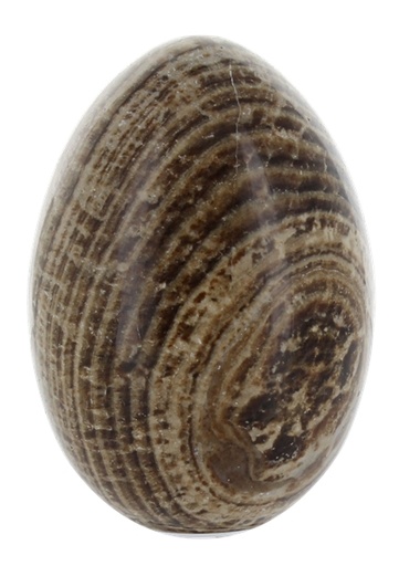 [3660341643150] Oeuf Aragonite - Pièce de 7 à 9 cm