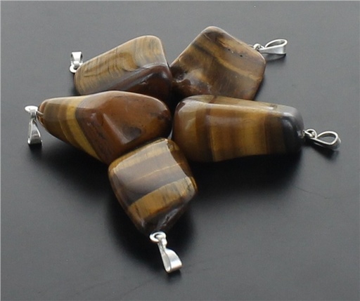 [3660341647004] Pendentif pierre roulée - Oeil de Tigre