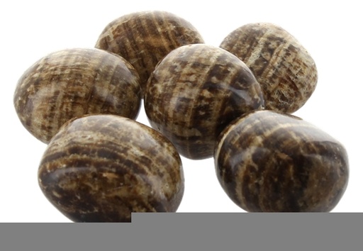 [3660341652169] Sachet pierres roulées - Aragonite