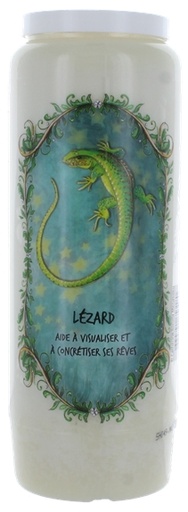 [3660341653180] Neuvaine animal totem - Lézard