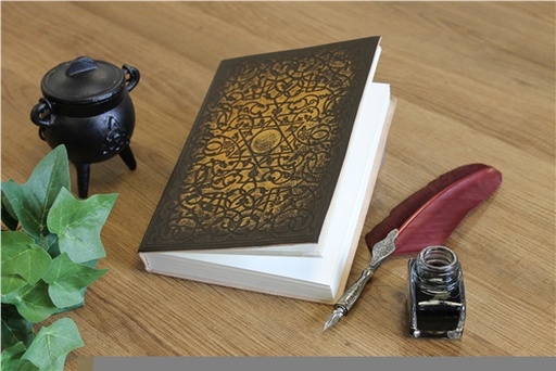 [3660341681220] Carnet cuir noir et doré Sceau de Salomon Petit format